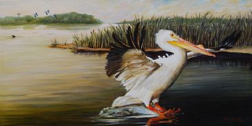 Pelicans at the Confluence - Portrait of an American White Pelican by Rob Dreyer