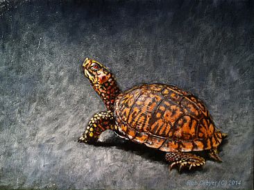 Portrait of an Eastern Box Turtle - EAstern Box Turtle by Rob Dreyer