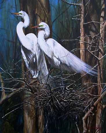 Love Birds - Portrait of a pair of Snowy Egrets on the nest by Rob Dreyer