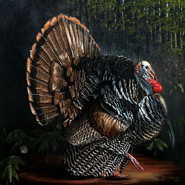 King Strut - Lifesize portrait of a Tom Turkey Gobbler by Rob Dreyer