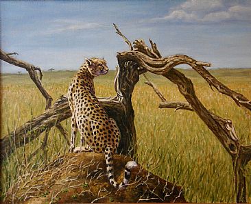 Cheetah by a tree - Big cats by Werner Rentsch