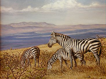Zebras of Ngorongoro - Afrian wild life by Werner Rentsch