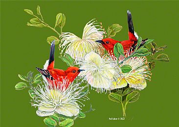Apapane and Pua Pila - Papapane Birds and Hawaiian Caper by Pat Latas