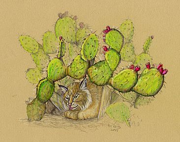 Sleeping Bobcat - Bobcat and cactus by Pat Latas