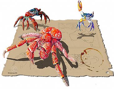 Crabs of Christmas Island - Various species of crabs from Chistmas island, Australia by Pat Latas