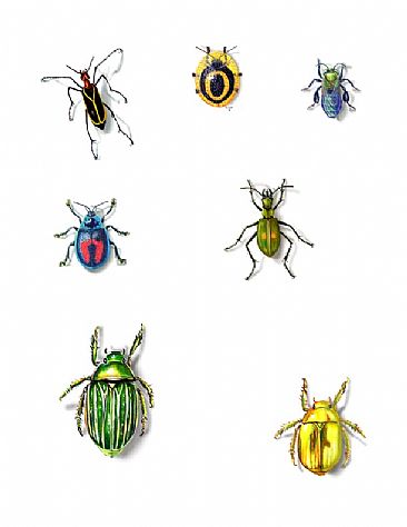 Insect Collection - Insects by Pat Latas