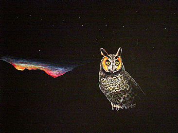 Long-earred owl -  by Pat Latas