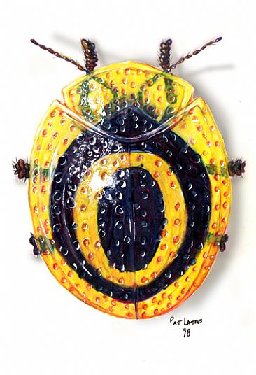 Tortoise Beetle - Tortoise Beetle by Pat Latas