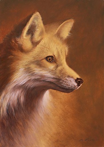 Portrait of a Red Fox - Wildlife by Phyllis Frazier