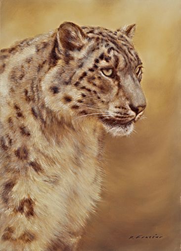 Snow Leopard - Wildlife by Phyllis Frazier