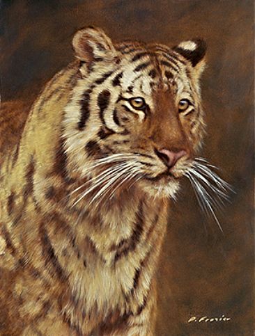 Tiger Portrait - Wildlife by Phyllis Frazier