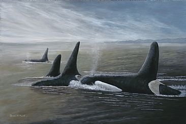 Procession - Orca Whales by Patricia Mansell