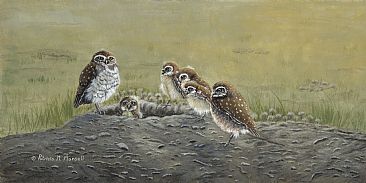 Ground Owls - Burrowing Owls by Patricia Mansell