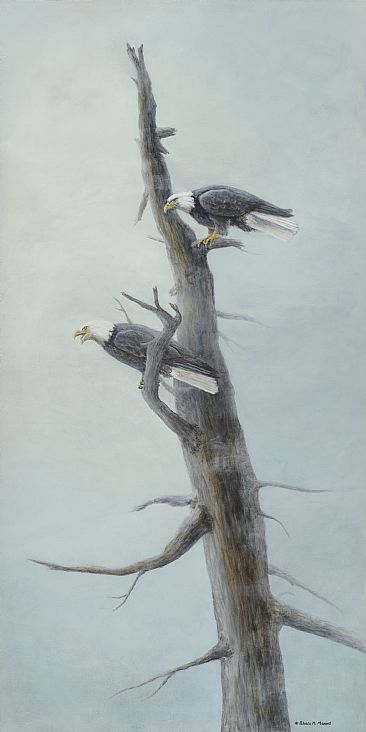 Vantage Point - Bald Eagles by Patricia Mansell