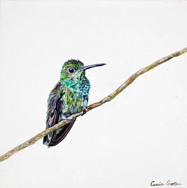 Percival - hummingbird by Carrie Goller