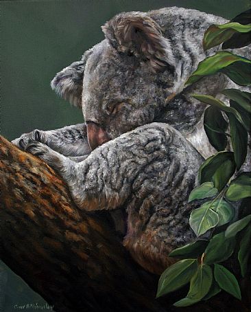 Koala - Koala by Cindy Billingsley