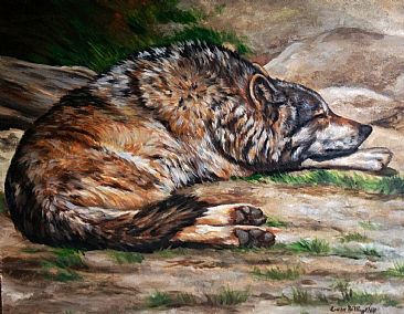 Mexican Wolf - Mexican Wolf by Cindy Billingsley