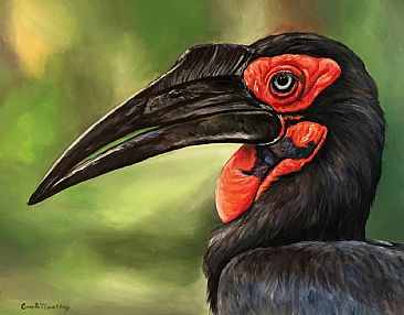 Southern Ground Hornbill - Southern ground Hornbill bird by Cindy Billingsley