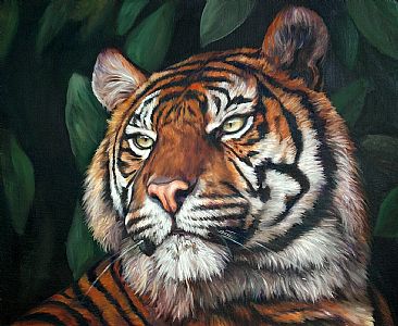 Tiger - tiger by Cindy Billingsley