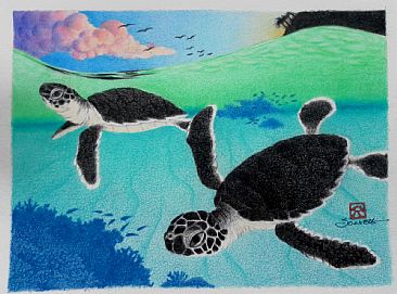 Dive Fast, Dive Deep! - Green Sea Turtle (Haw'n: honu) hatchlings by Solveig Nordwall