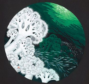 Giant Plumose Sea Anemone - (Metridium giganteum) by Solveig Nordwall