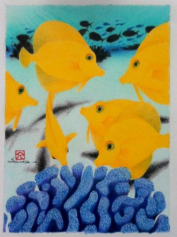 Sunny Tang - Yellow Tang / Zebrasoma flavescens / Haw'n: lau'ipala by Solveig Nordwall