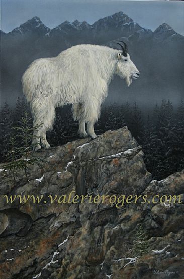 Seeking Solitude - Mountain Goat by Valerie Rogers