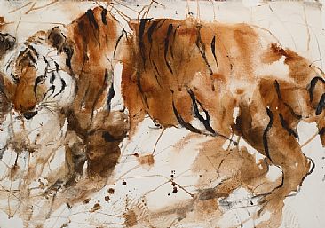 William - tigris by Varda Breger
