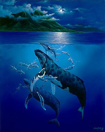 First Breath - Humpback whales and bottle nose dolphins by Frank Walsh