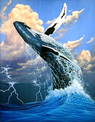 Distant Thunder - Humpback whale breaching by Frank Walsh