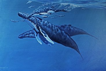 The Entourage - Humpback whales and bottle nose dolphins by Frank Walsh