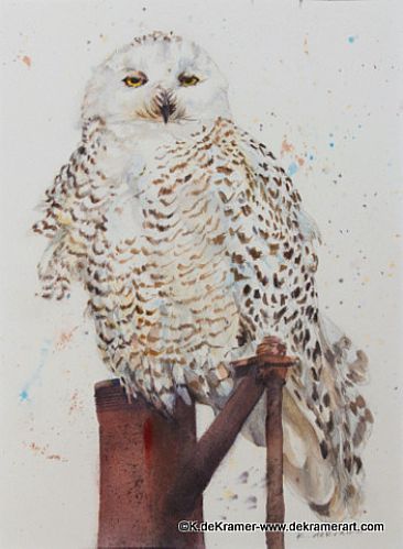 Snowy Owl  - Snowy Owl by Karyn deKramer