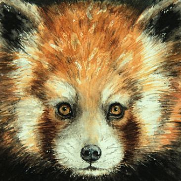 Nightfall 3 (Miniature) - Red Panda by Norbert Gramer