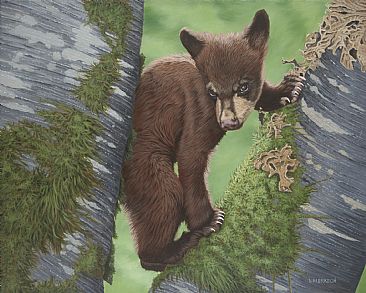 Curious Cub  - Black Bear Cub  by Lynn Erikson