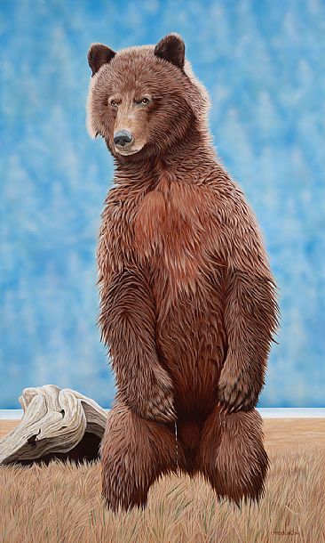 Majestic Presence, Grizzly Bear - Grizzly Bear by Lynn Erikson