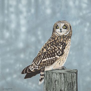 Short-Eared Owl - Owl perched on fence post, Pemberton BC by Lynn Erikson