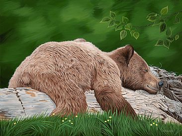 Relax - Grizzly Bear Sleeping on a log by Lynn Erikson