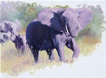 Female elephant study - African elephant by Susan Jane Lees