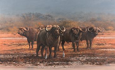 Bachelors - Cape buffalo with egrets by Peter Gray