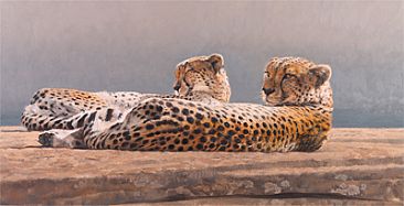 Mirrored - Two reclining cheetahs by Peter Gray