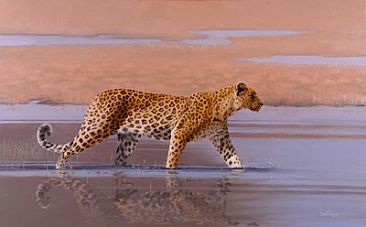 Swamp Cat - Wading Leopard by Peter Gray