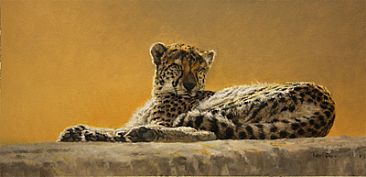 Basking Cheetah (ii) - Cheetah by Peter Gray