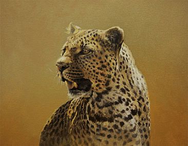 Leopard Study (ii) - Leopard by Peter Gray
