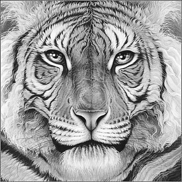 Majesty - Royal Bengal tiger portrait by Gary Hodges