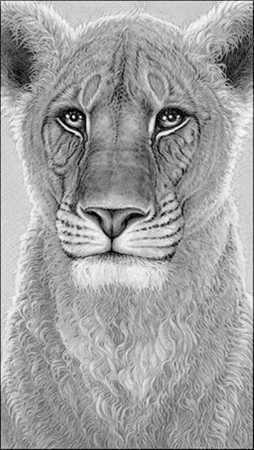 The Spirit of Elsa - Elsa the lioness by Gary Hodges