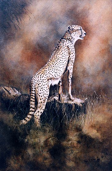 The Lookout; Sold at Charity Auction - Cheetah by Anne Corless