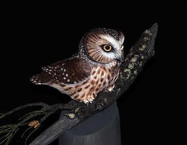 Saw Whet Owl... - Carved Saw-Whet owl on pine branch by Yves Laurent