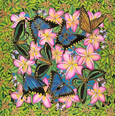Beautiful Butterflies - Butterflies by Kim Toft