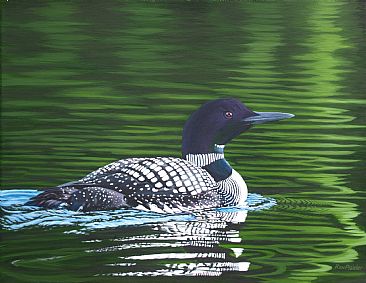 Frontenac Loon - Sold - Common Loon by Ron Plaizier