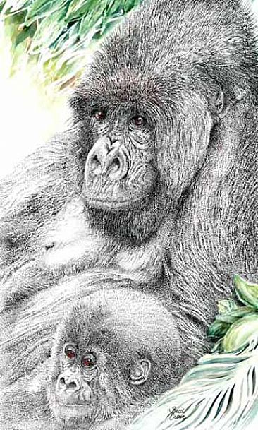 Mountain Gorilla Mama - Mountain Gorilla by Becci Crowe